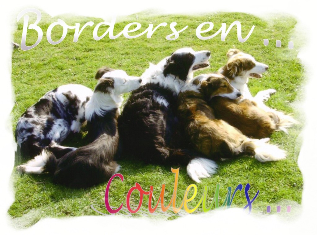 Borders en Couleurs